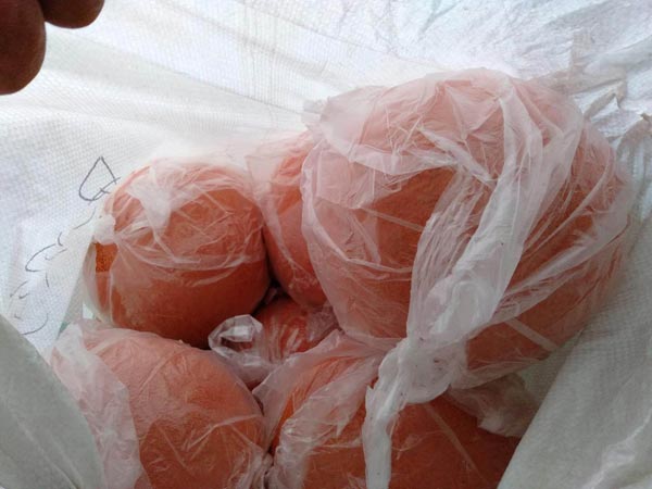 Concrete Pump Washing Balls